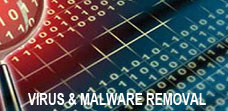 Virus malware removal